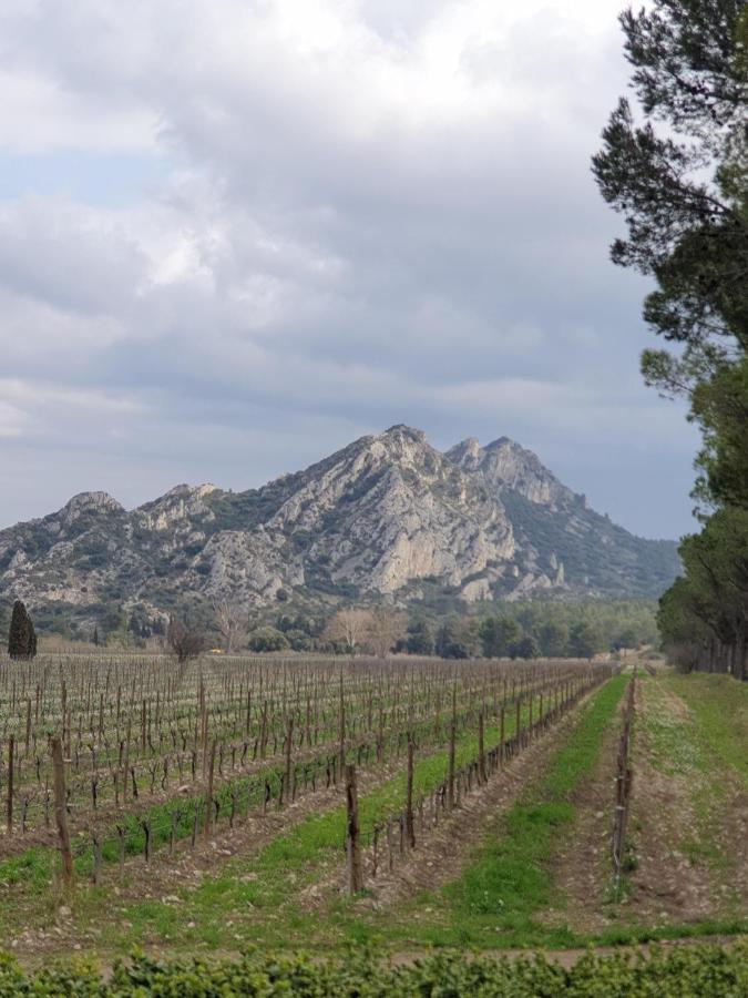 Saint-Rémy-de-ProvenceLes Estrelles公寓 外观 照片